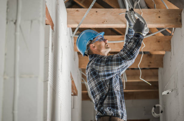 Best Electric Panel Repair  in Ventress, LA